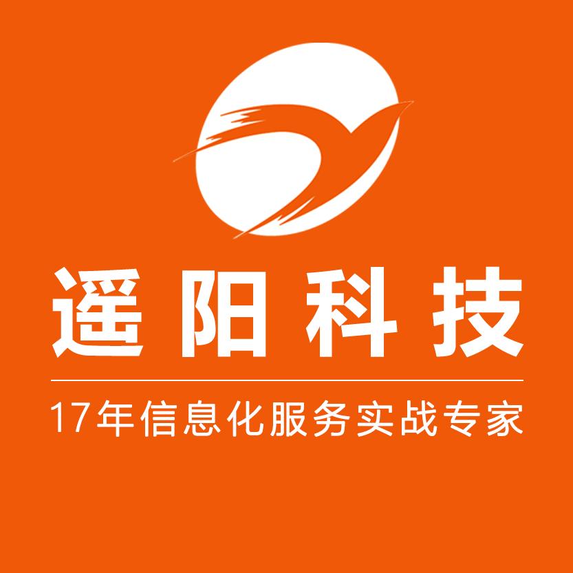 遥阳科技(建站+推广+品宣)