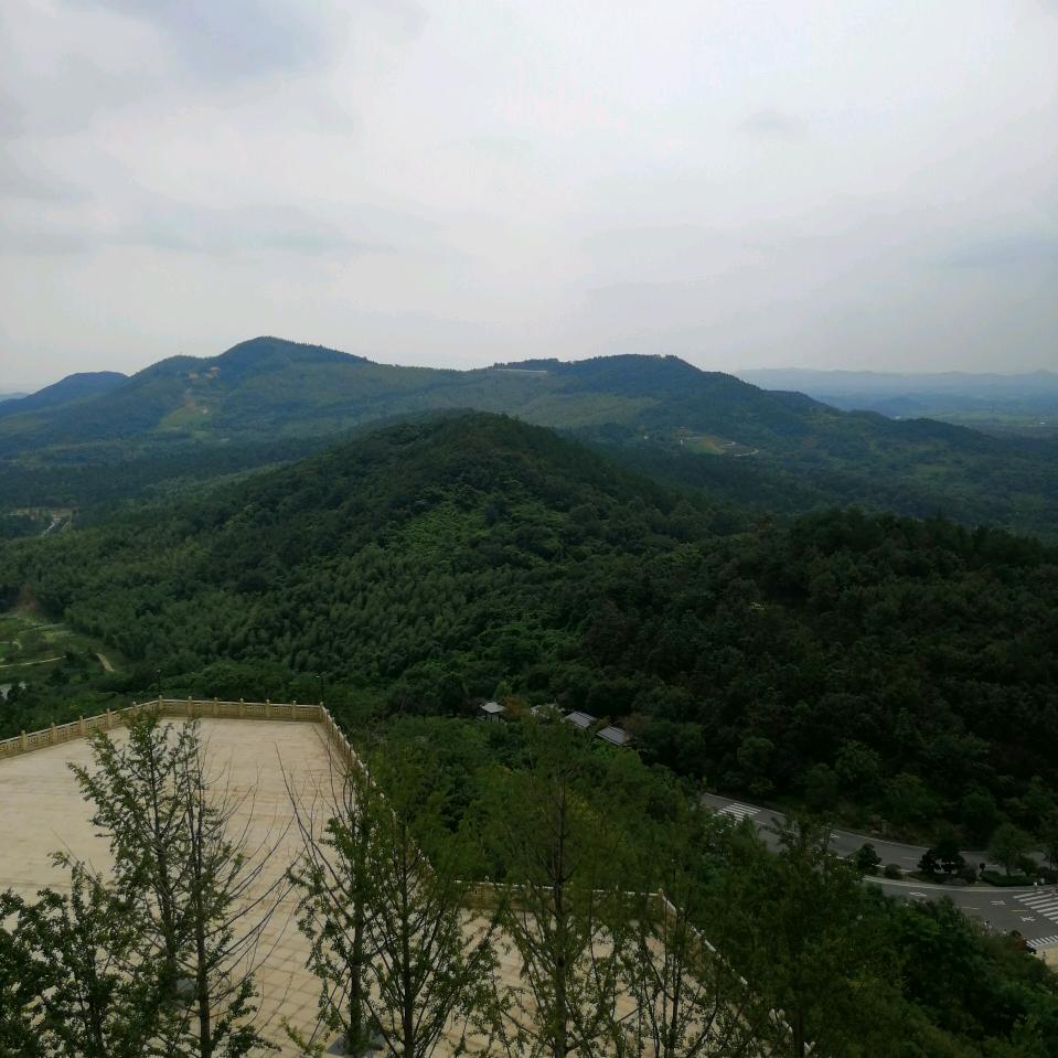 步步清风