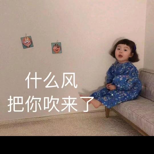 白茶丶清欢
