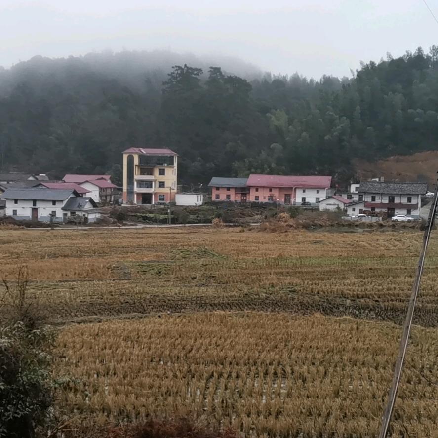 九江市顺意豪海绵有限公司