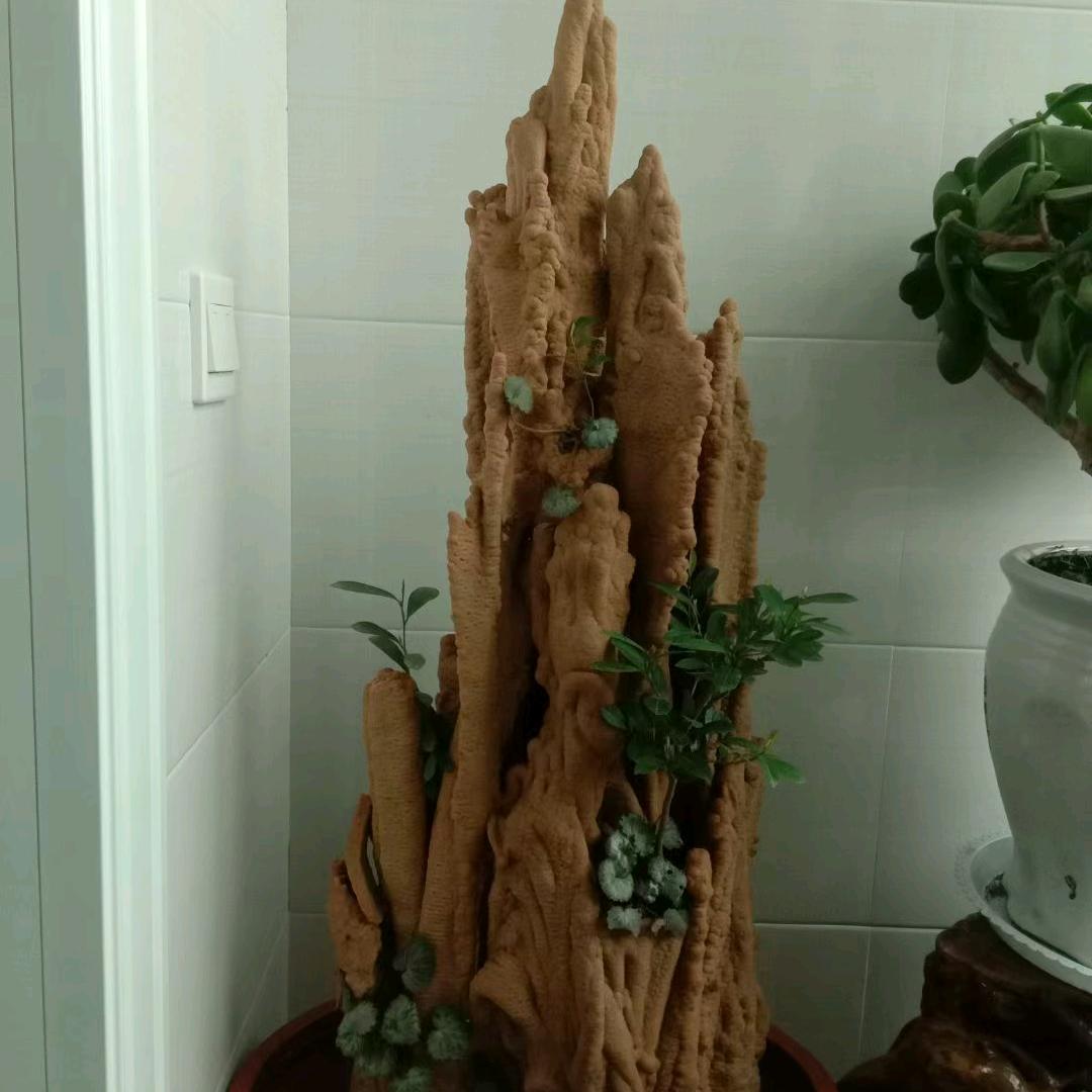 🌈🌈🌈🌈玩石（1909)