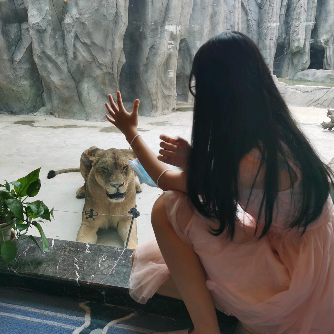 亲妈旅行记