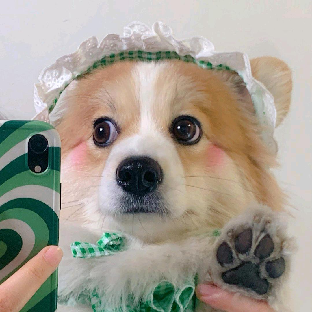 淮南幸运儿