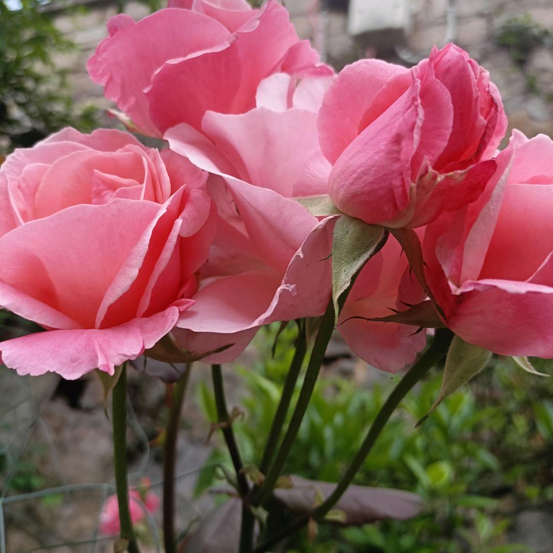 一切不是我想象