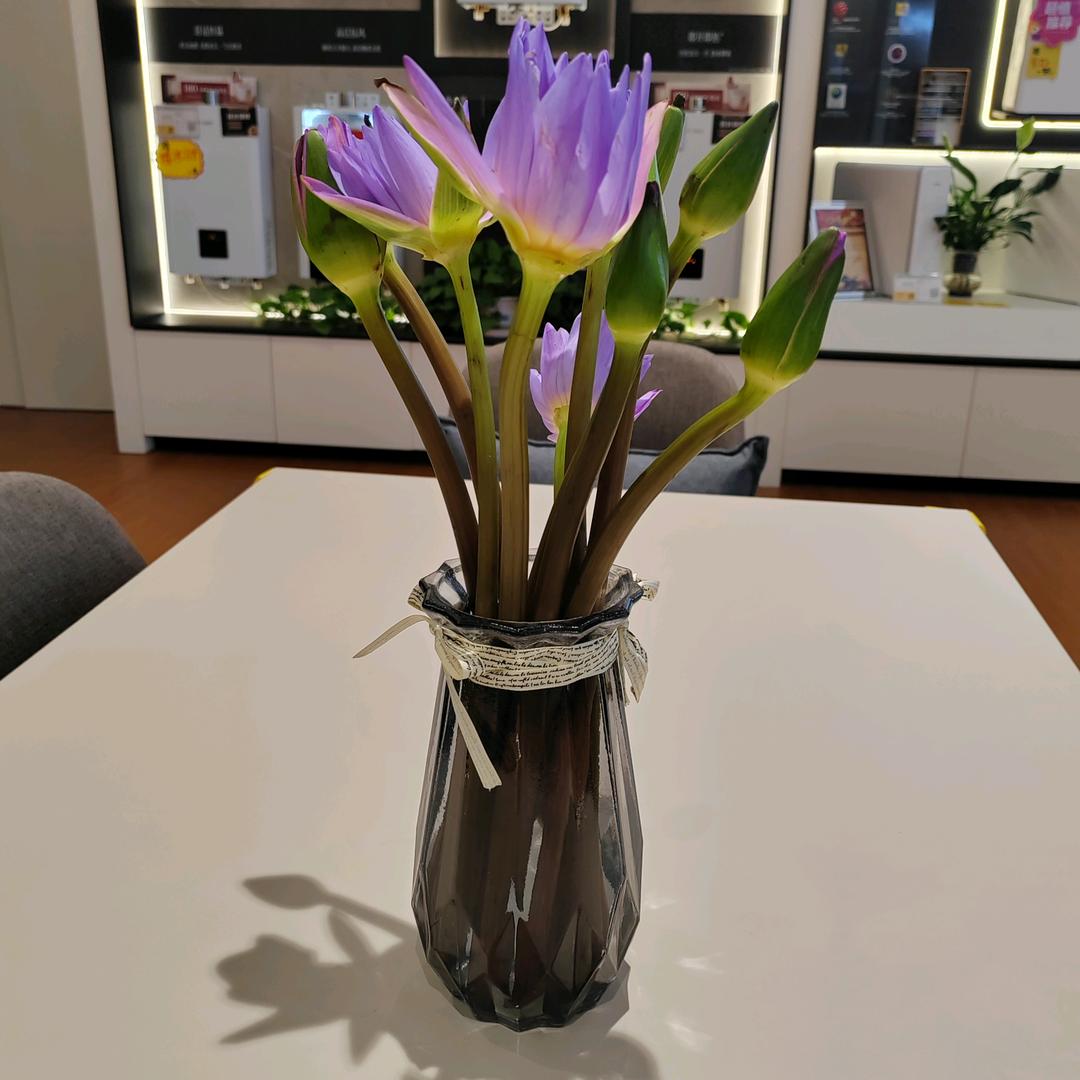 云南苏宁.西山万达店.范召兰