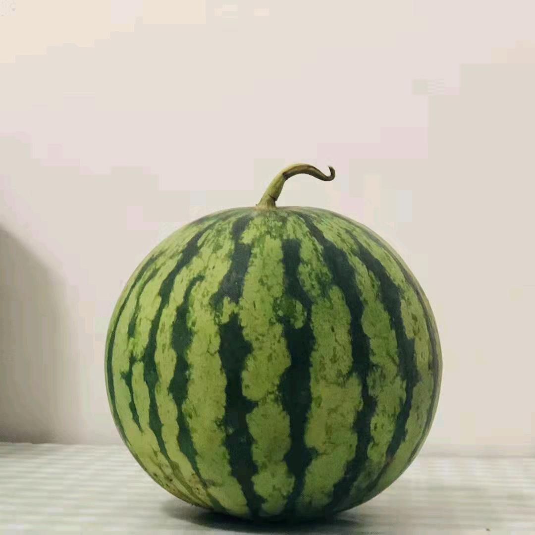 😄😄😄😄😄
