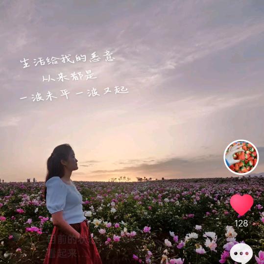 鲜生到家商贸有限公司🌻密密🌻