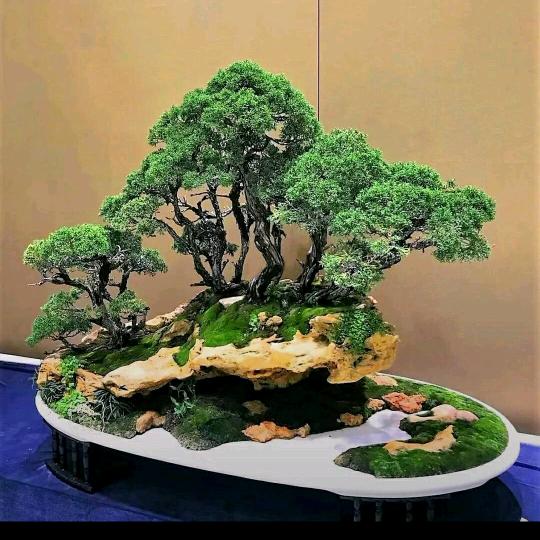 天成石业