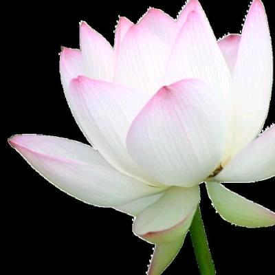 马浩森