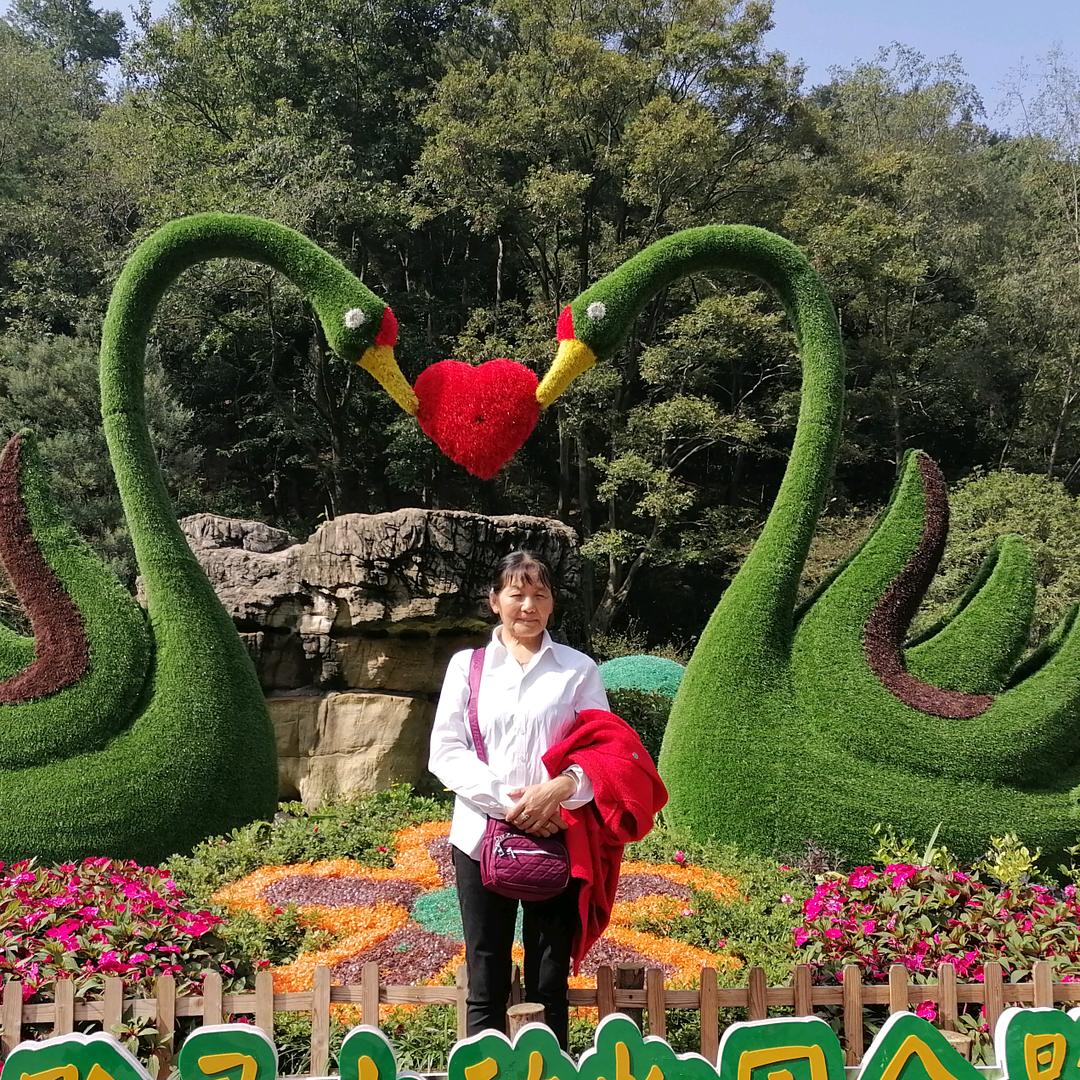 续写年华
