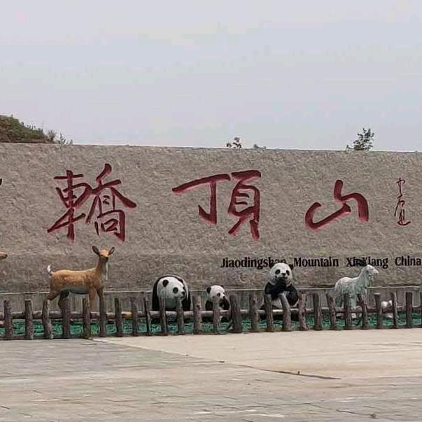 鹏哥哥