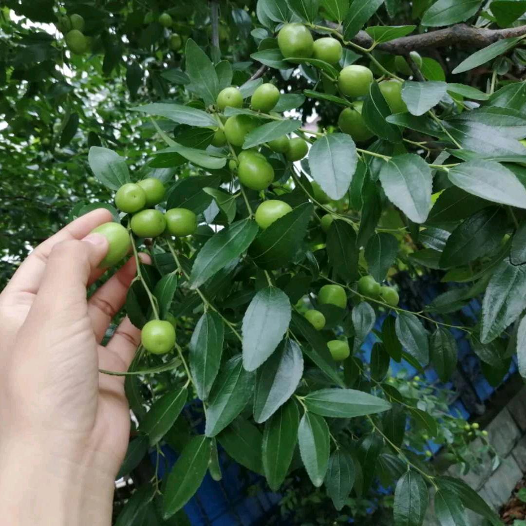 伸手碰到月亮