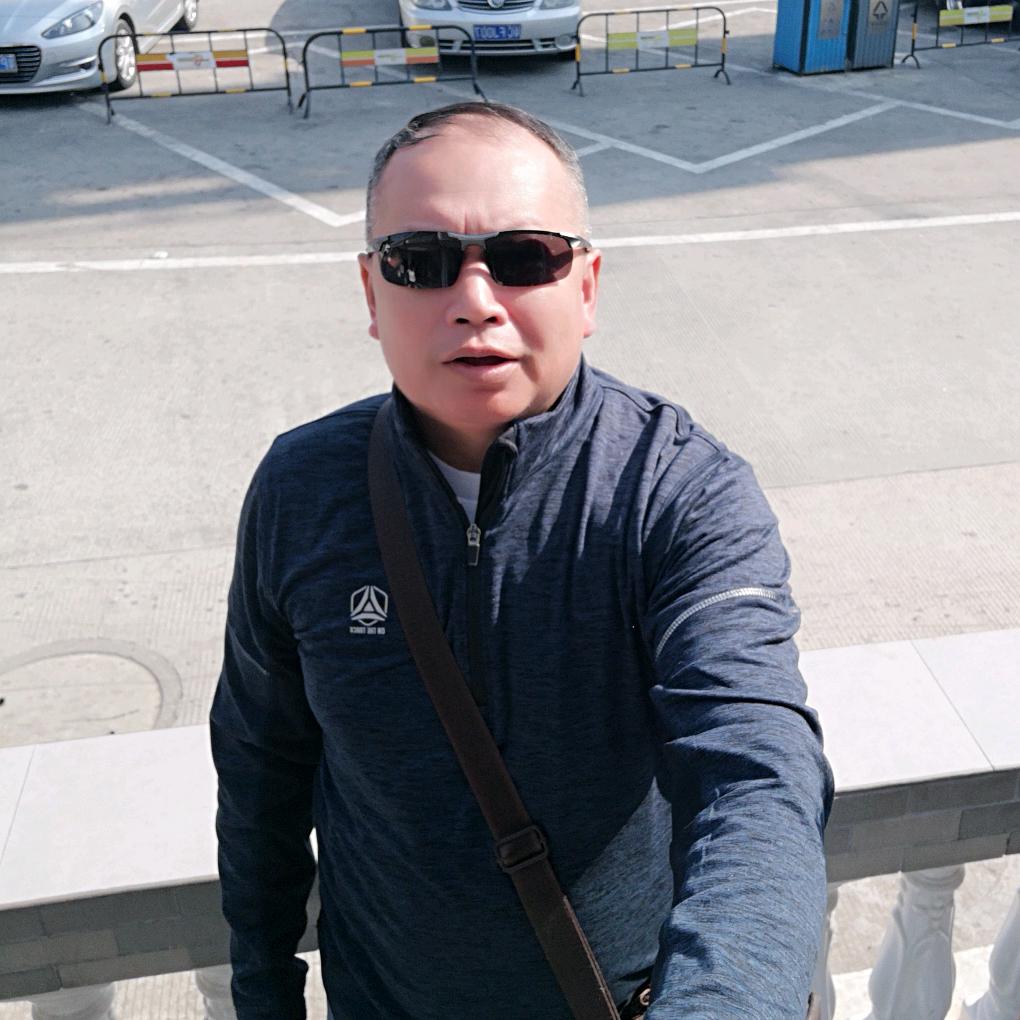 大笨象会跳舞