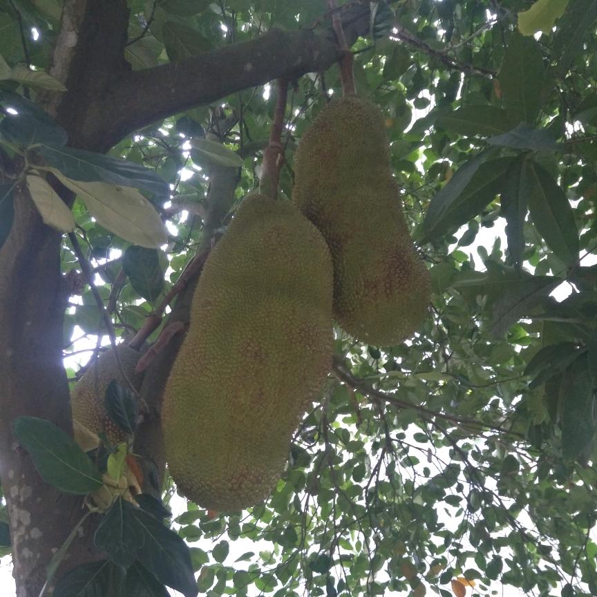 你养我长大