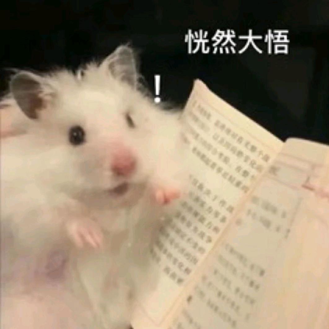 小小黎ll