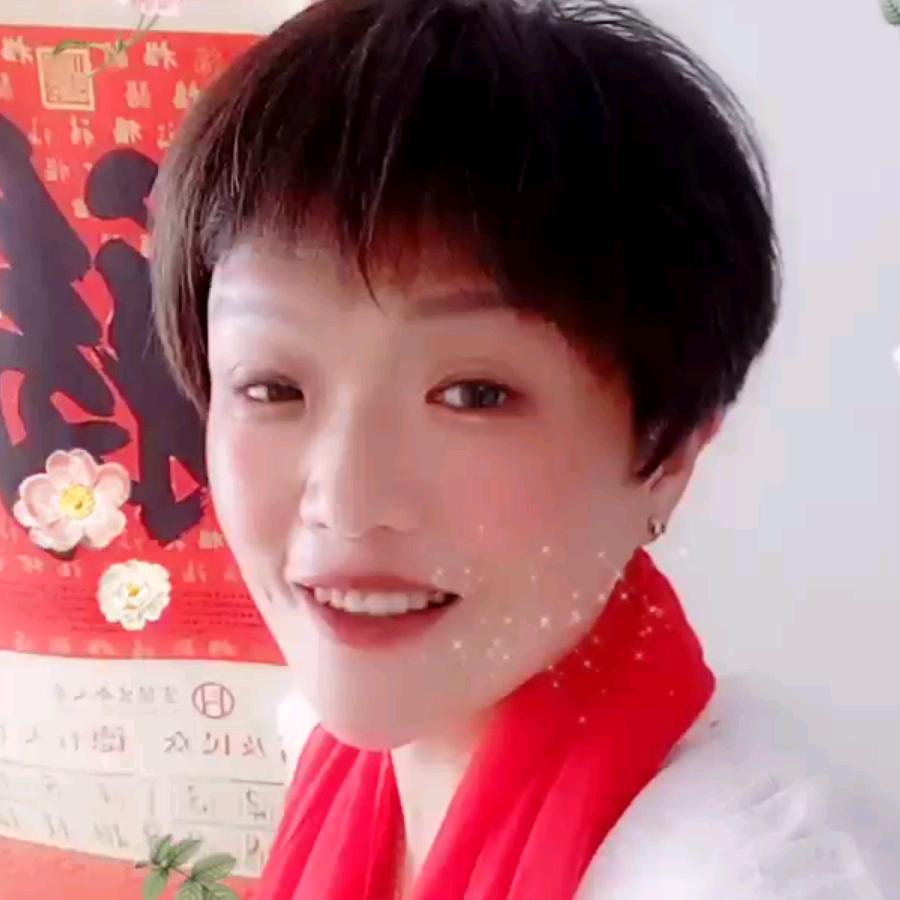 高乐乐