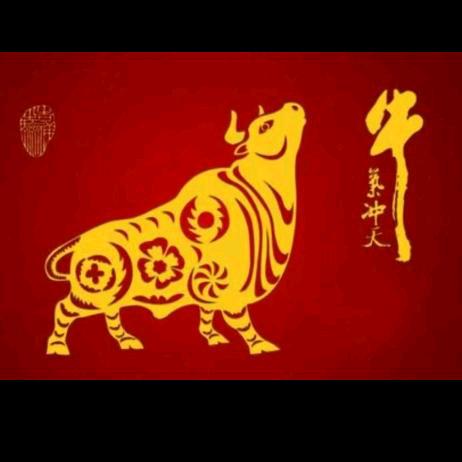 鑫港胜牛氏辈(甲鱼牛肉养生火锅)