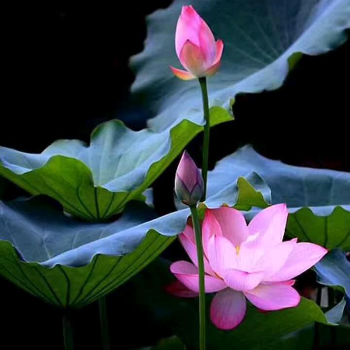 相识是缘💓🌹