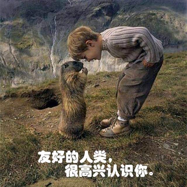 乱七八糟