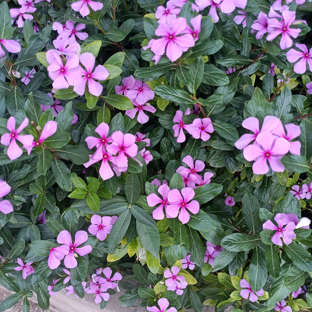 男人不坏，女人不爱