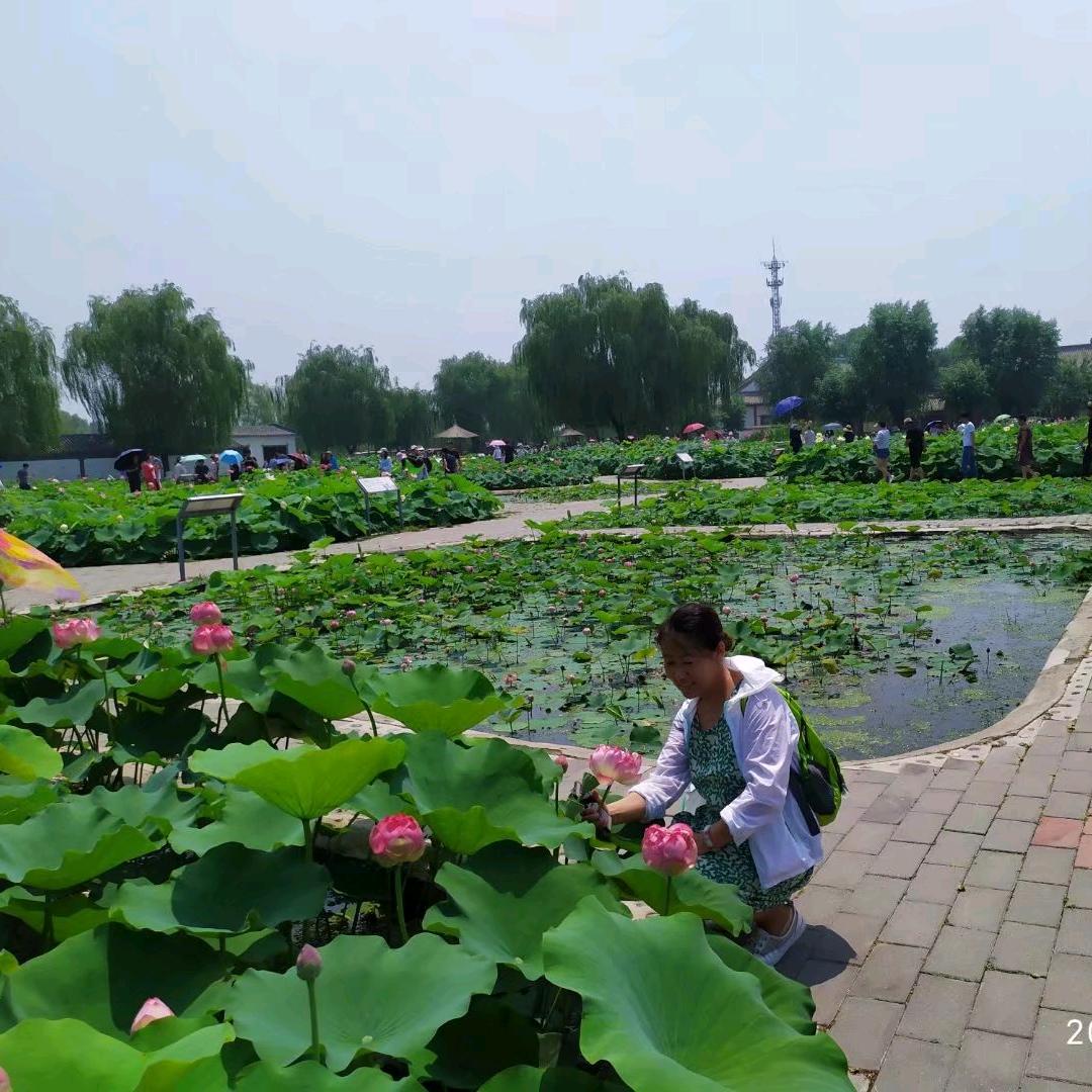 🌸家庭养花🍃