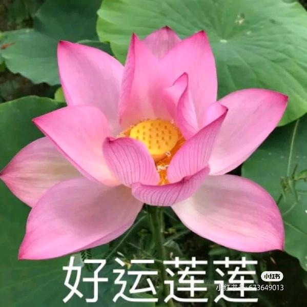 平平安安
