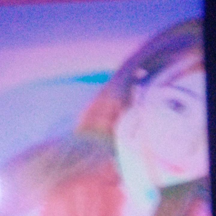 Y燕