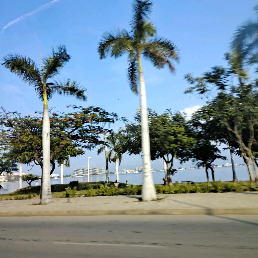 非洲哥
