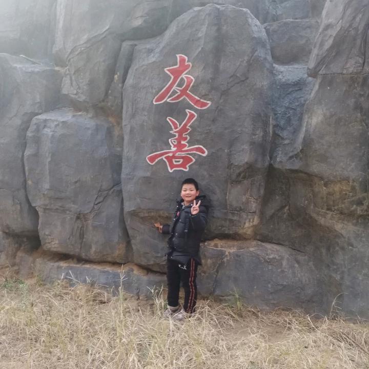 楠楠