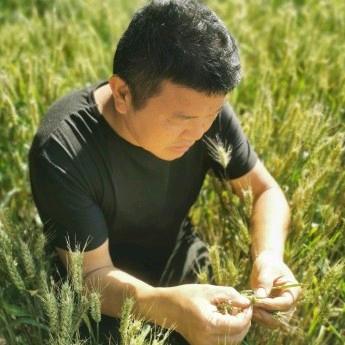 现代农业践行者