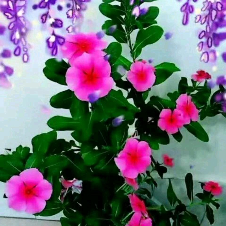 开心就好41035085830