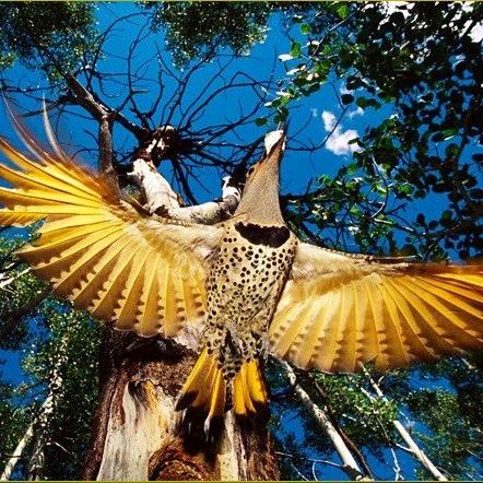 毛毛虫文化用品店