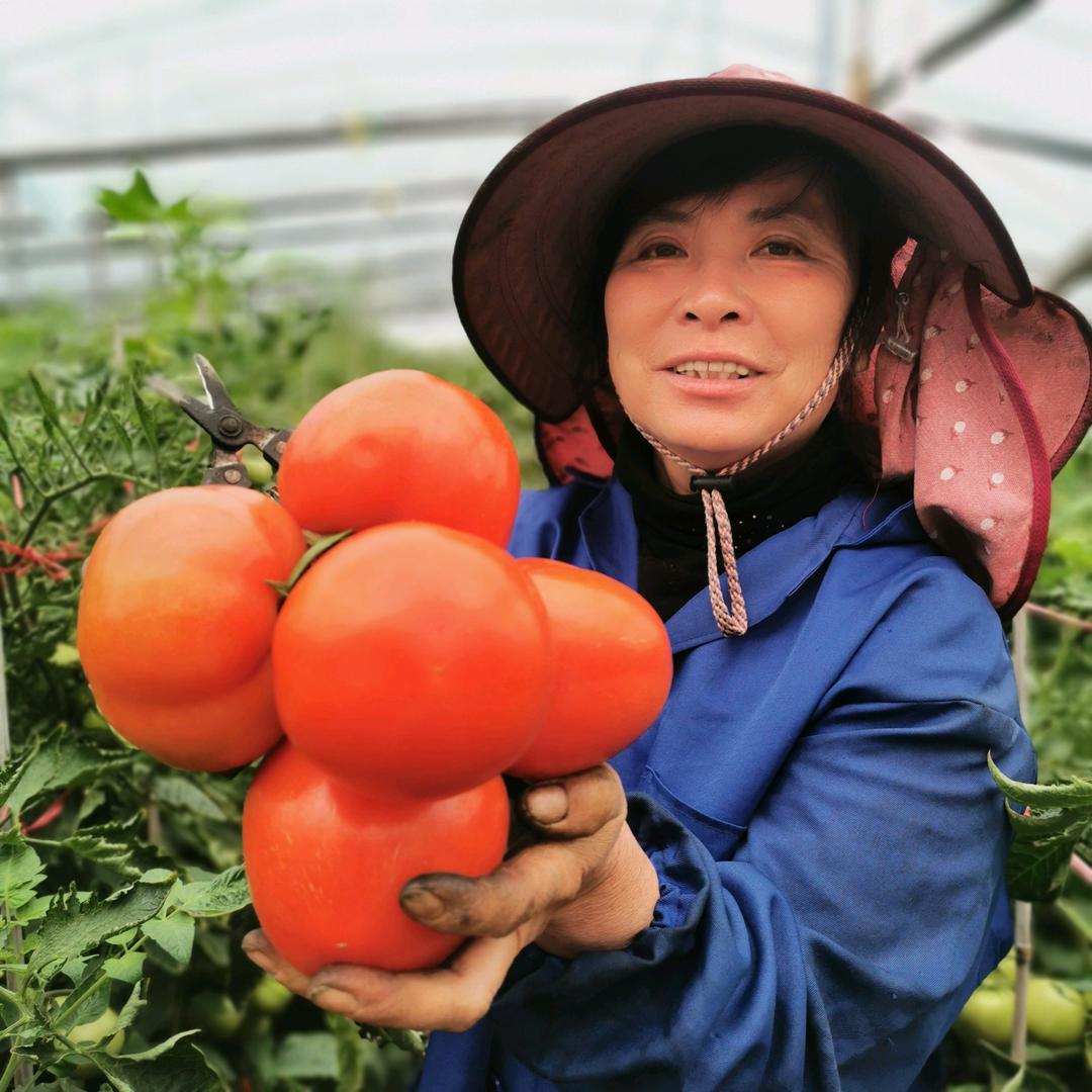 西红柿大妈