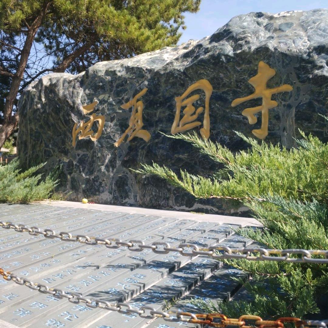 冰封👍👍