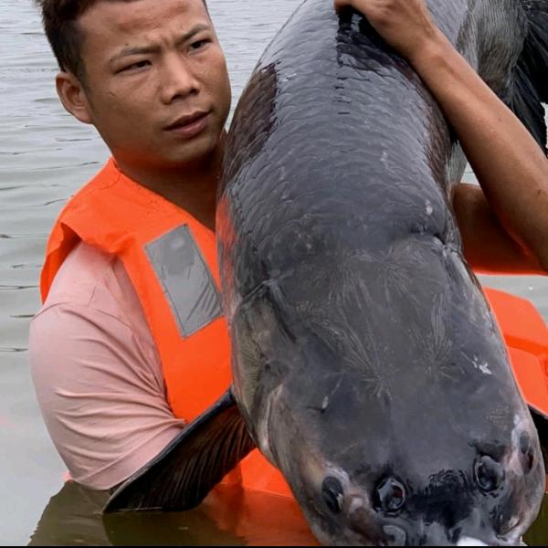 敏弟户外钓鱼
