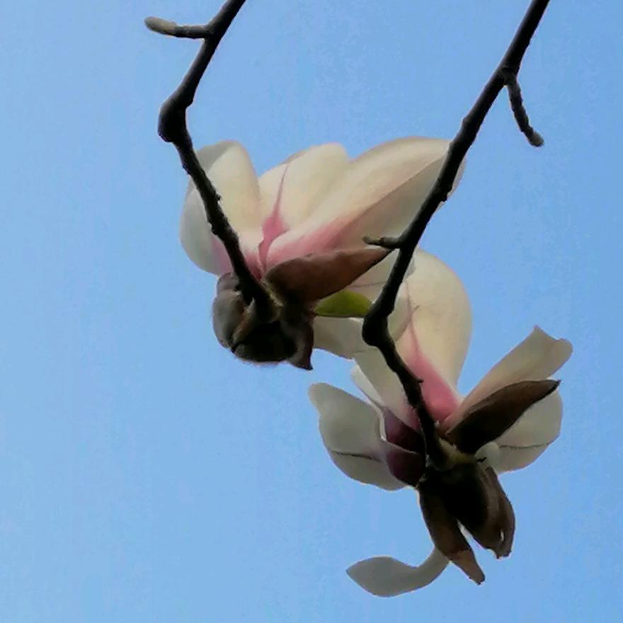 完美的起点
