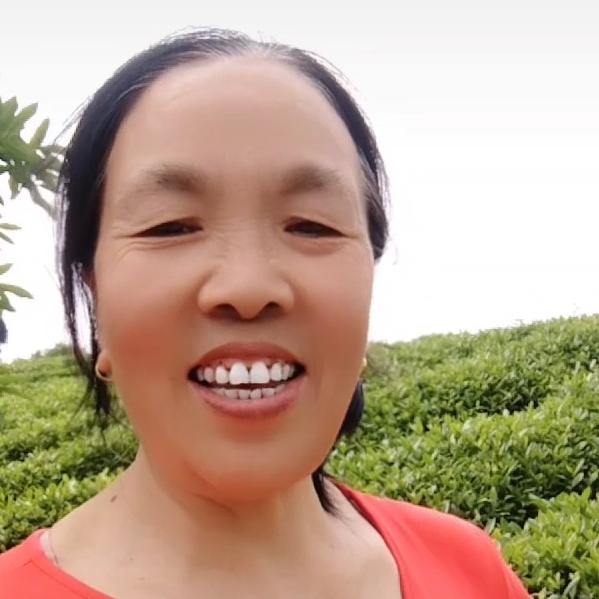 罗（拒绝私聊）