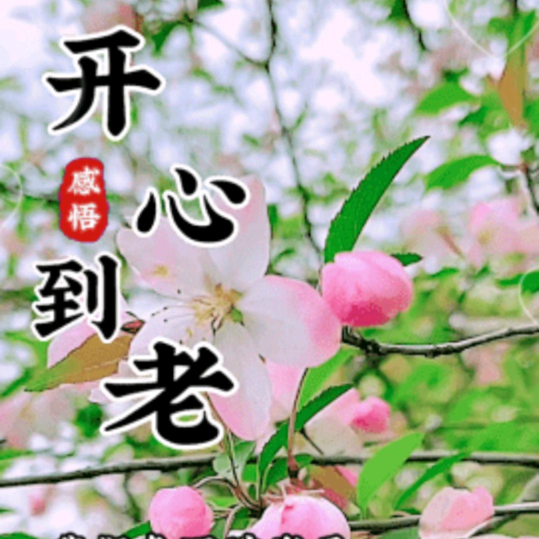 过好每一天就行了