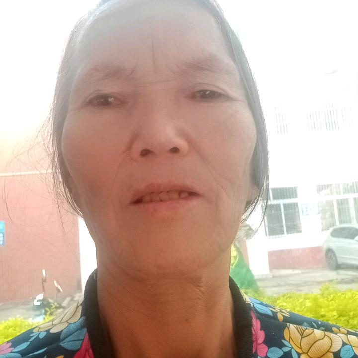 王凤凰
