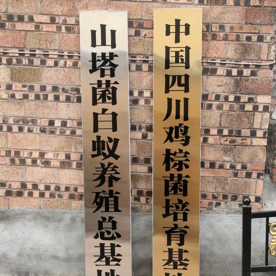 胡蜂-白蚁-产品店