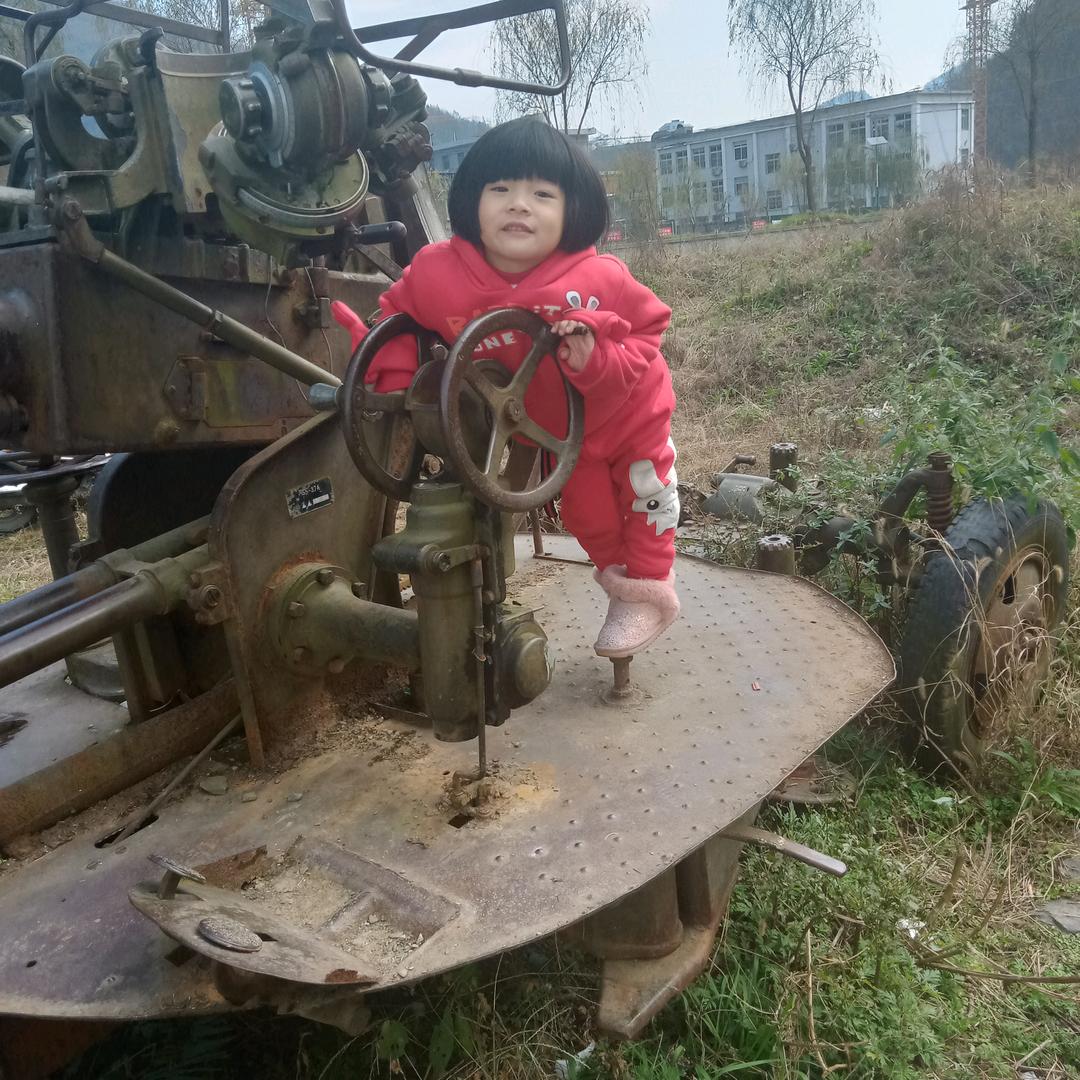 兴林