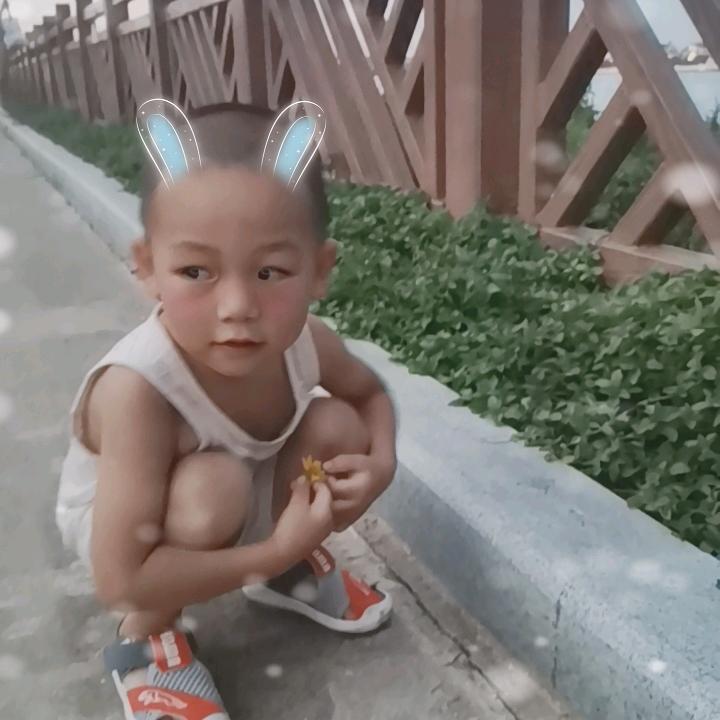小橙橙