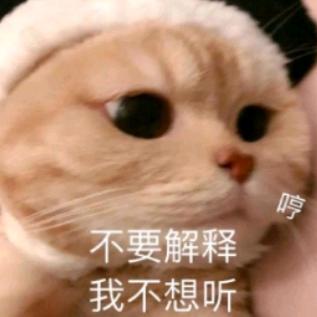 🌈带你看动物
