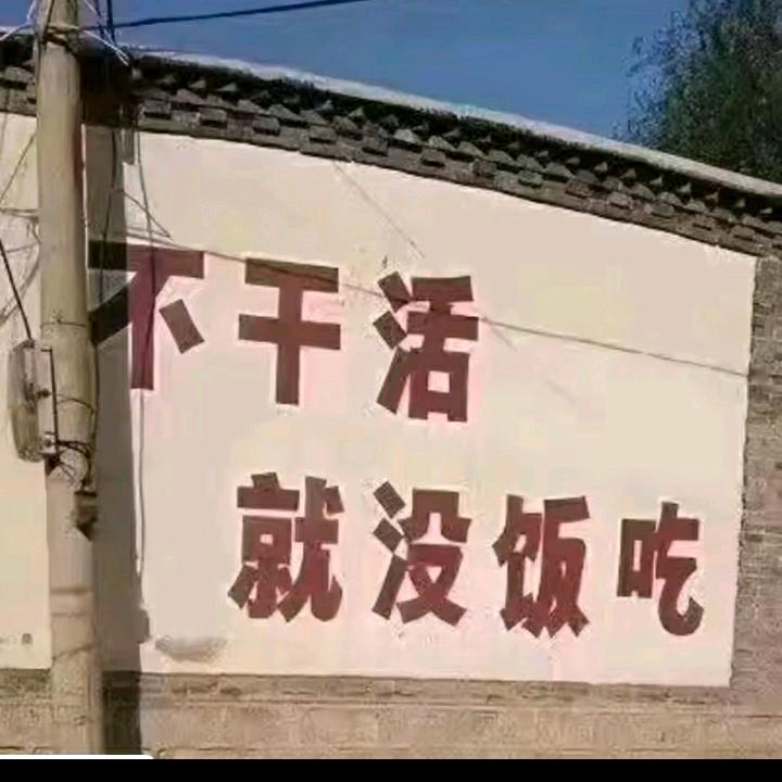 社会不惯人