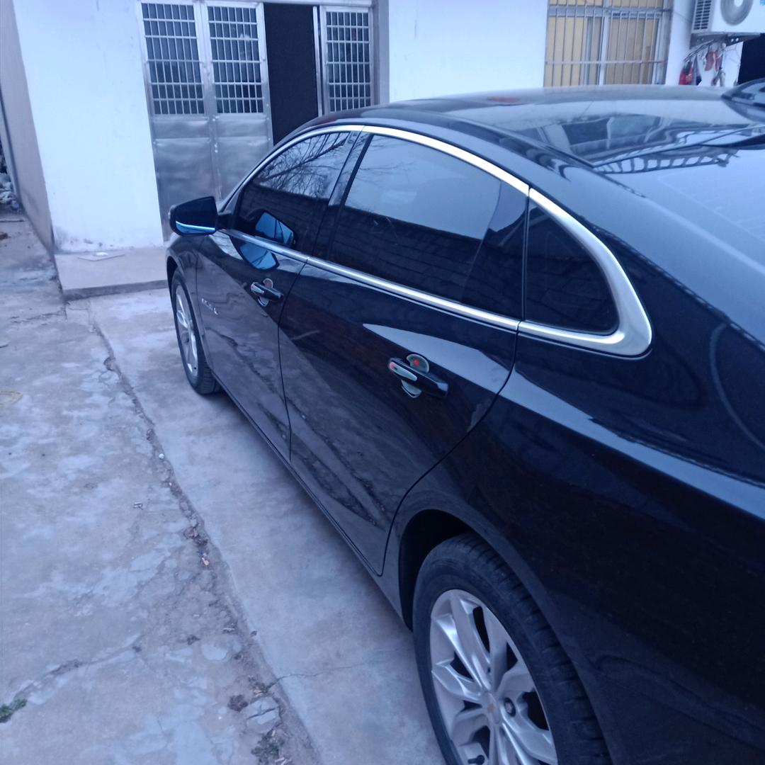 黄圩，专业防水，张育成，