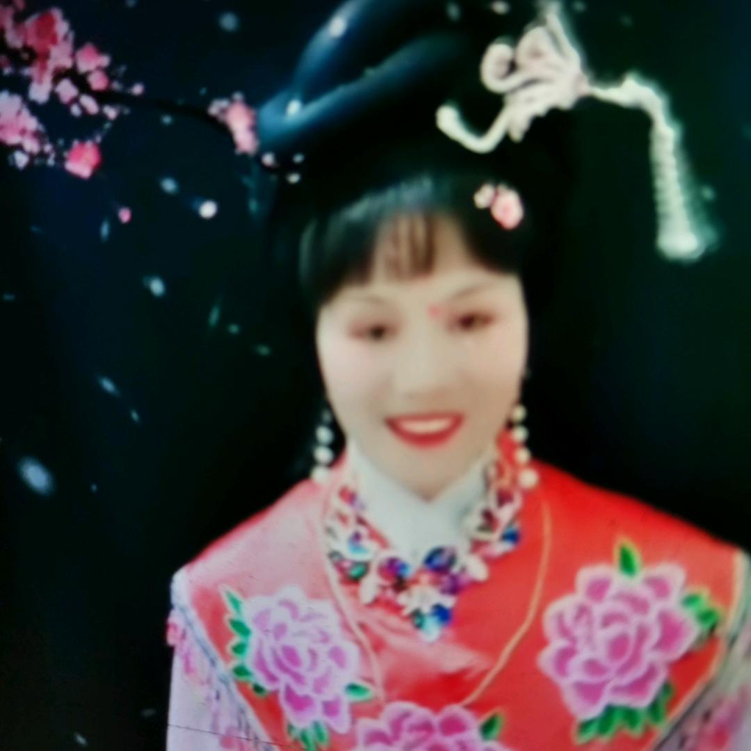 黄梅戏遇见