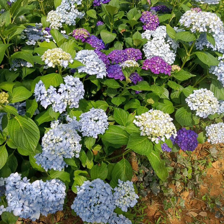 一心向善，做好自己。