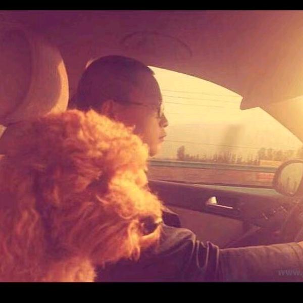 八岐山兔     ⃢👁ܫ👁⃢