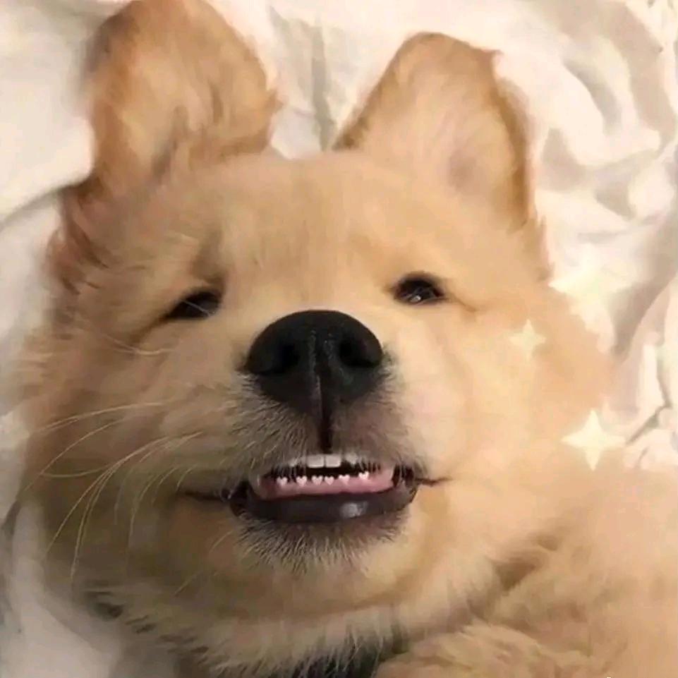 她很溫柔