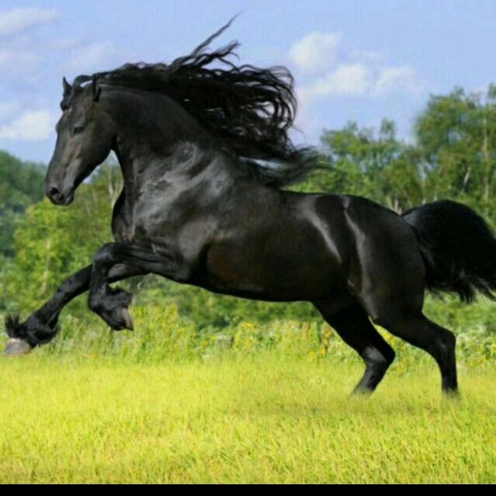 单身一人闯天下。